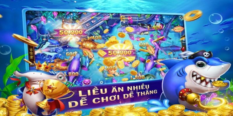 Sử dụng các code nhận được để mua xu hoặc mua vật phẩm